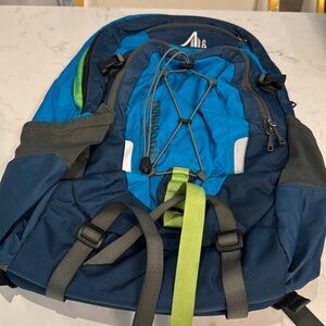 Patagonia Backpack